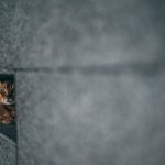 The Unexpected Careers That Utilize Artistic Talents