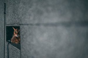 The Unexpected Careers That Utilize Artistic Talents