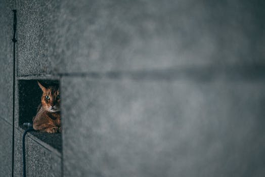 The Unexpected Careers That Utilize Artistic Talents