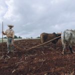 The Critical Importance of Performing Due Diligence on Land