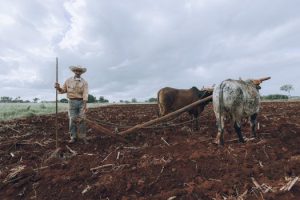 The Critical Importance of Performing Due Diligence on Land