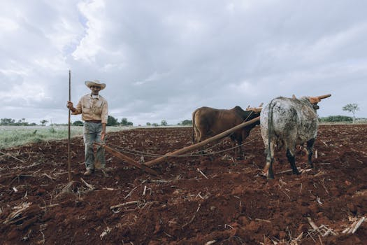 The Critical Importance of Performing Due Diligence on Land