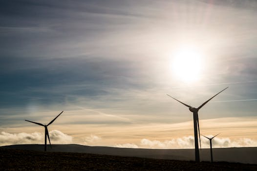Exploring the Benefits of Working in the Renewable Energy Sector