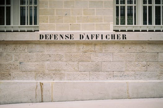 Building a Strong Foundation in Classic French Cooking Techniques