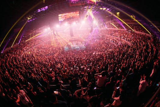 Optimizing Your Energy Levels for Peak Daily Performance