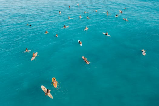 Why Hobbies Are Essential for a Balanced, Thriving Existence