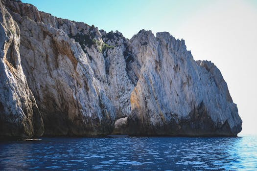 How to Safely and Effectively Clean Your Deep Fryer